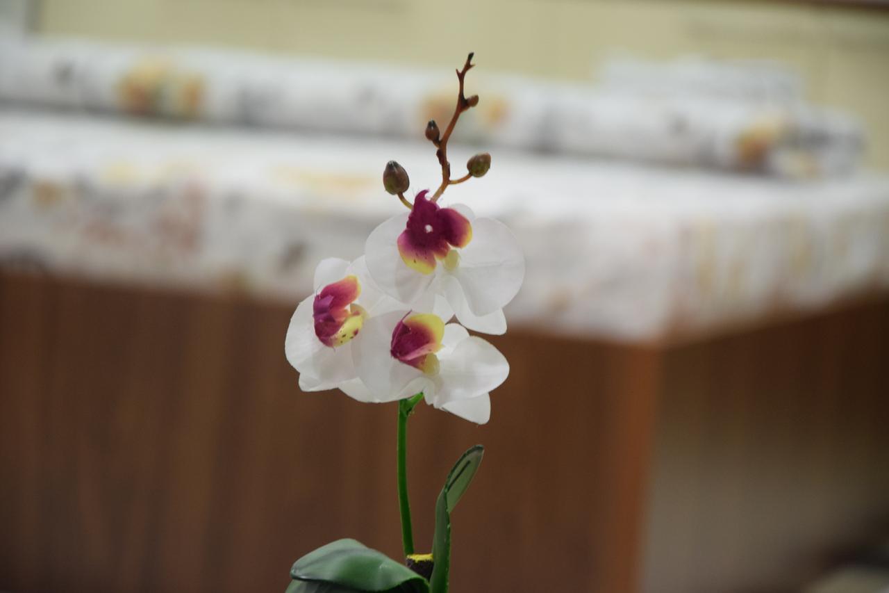 Guest House Agropapuk Sid Екстер'єр фото